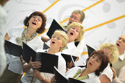 Kaunas Choir “Diemedis”