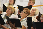 Kaunas Choir “Diemedis”