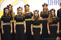Free Harmony