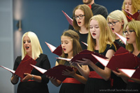 Youth mixed choir Mato Bučar Petrinja
