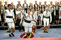 Vlastarele Orastiei