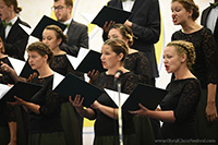 Vox Animae