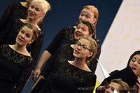 Vox Animae